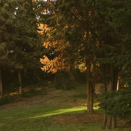 Rich Collective Appartement