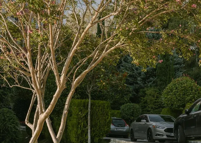 Appartement Rich Collective Nessebar