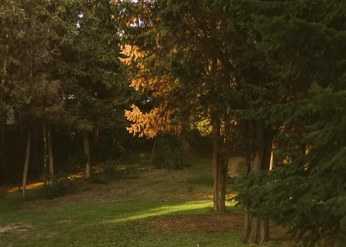 Rich Collective Apartment